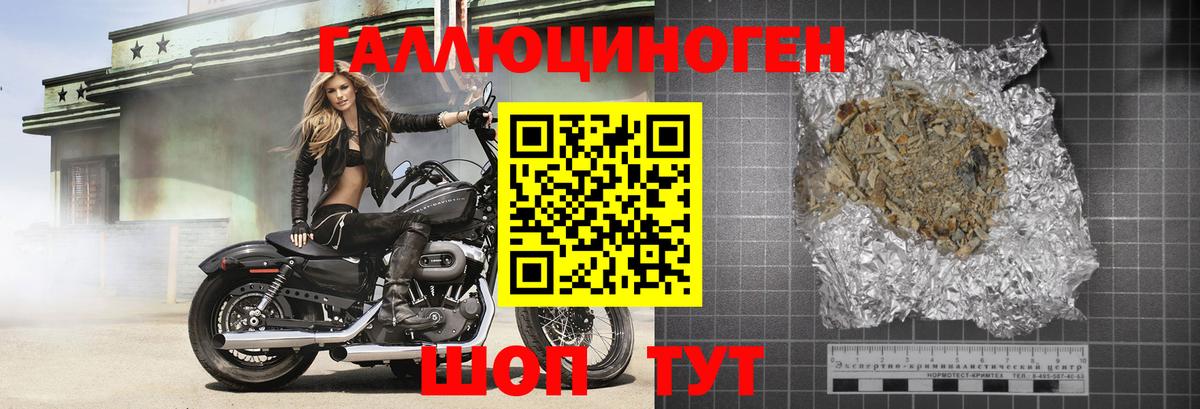 Псилоцибиновые грибы Magic Shrooms  Вход с VPN  Киселёвск  Галлюциногенные грибы Psilocybine cubensis 