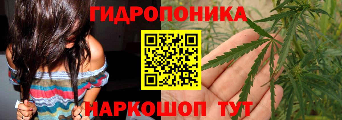 Шишки марихуана AK-47  Марихуана тримм  Киселёвск  Вход с VPN 